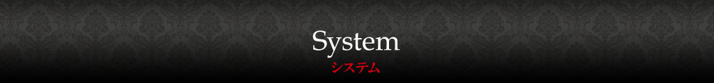システム